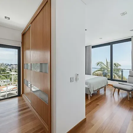 فيلة Papagaio By An Island