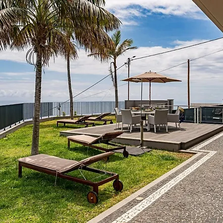 Papagaio By An Island Funchal (Madeira)