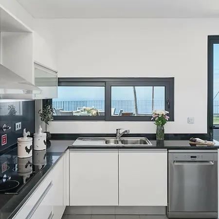 Papagaio By An Island *