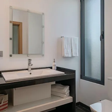 Papagaio By An Island Funchal