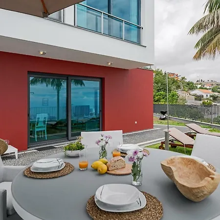 Papagaio By An Island * Funchal