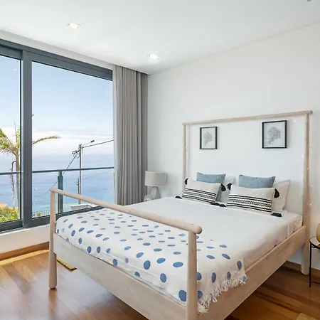 Papagaio By An Island Funchal (Madeira)