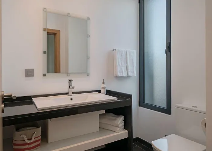 Papagaio By An Island Funchal (Madeira)