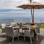 Papagaio By An Island Funchal